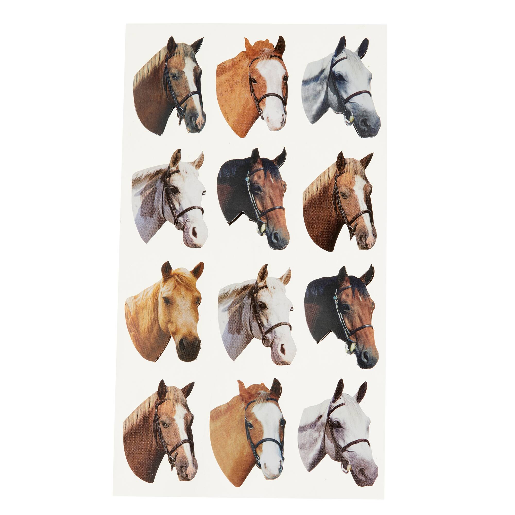 Horse Stickers by Recollections™